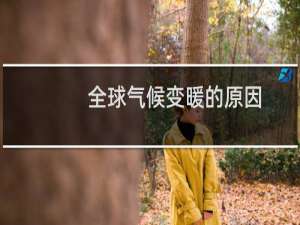 全球气候变暖的原因