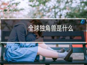 全球独角兽是什么
