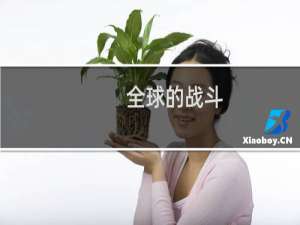 全球的战斗