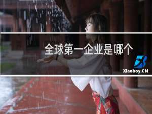 全球第一企业是哪个