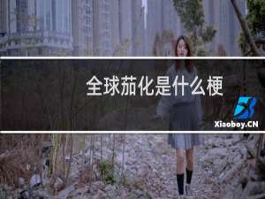 全球茄化是什么梗