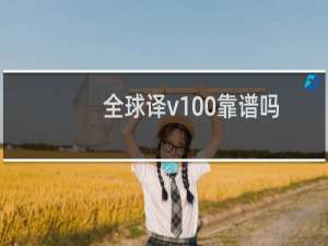 全球译v100靠谱吗