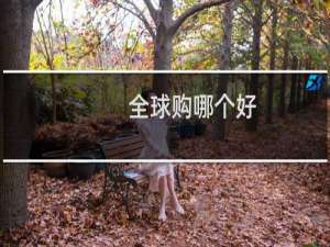 全球购哪个好