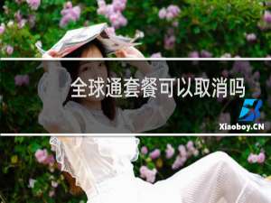 全球通套餐可以取消吗
