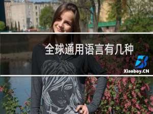 全球通用语言有几种