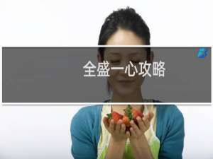 全盛一心攻略