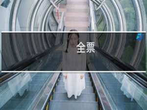 全票/满票/有票/回票/新票什么梗