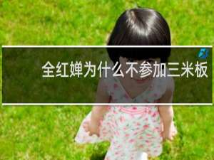 全红婵为什么不参加三米板