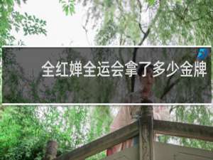 全红婵全运会拿了多少金牌