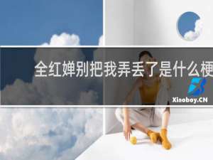 全红婵别把我弄丢了是什么梗