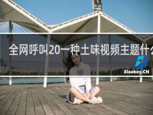 全网呼叫 一种土味视频主题什么梗