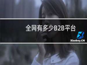 全网有多少B2B平台