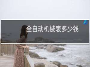 全自动机械表多少钱
