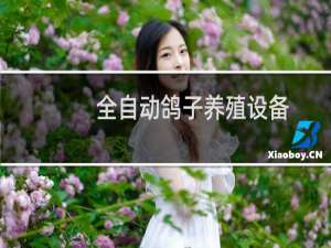 全自动鸽子养殖设备