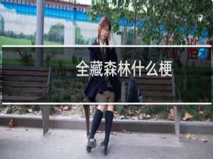 全藏森林什么梗