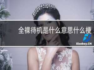 全裸待机是什么意思什么梗