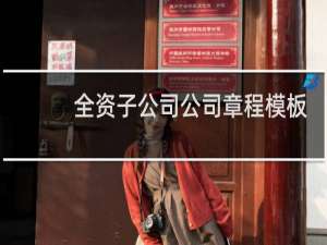 全资子公司公司章程模板