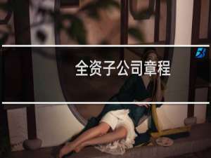 全资子公司章程(范本)