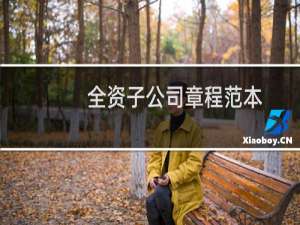 全资子公司章程范本
