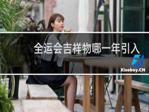 全运会吉祥物哪一年引入