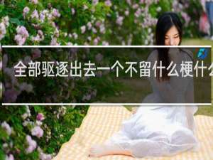 全部驱逐出去一个不留什么梗什么梗