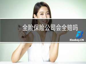 全险保险公司会全赔吗
