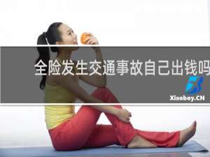 全险发生交通事故自己出钱吗