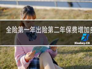 全险第一年出险第二年保费增加多少