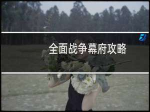 全面战争幕府攻略