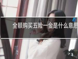 全额购买五险一金是什么意思
