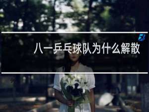 八一乒乓球队为什么解散