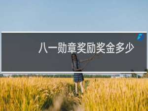 八一勋章奖励奖金多少
