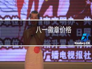 八一徽章价格