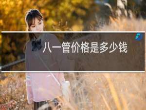 八一管价格是多少钱