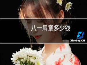 八一肩章多少钱