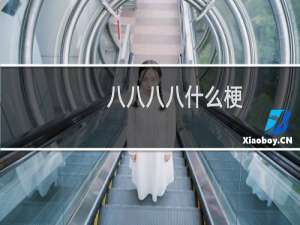 八八八八什么梗