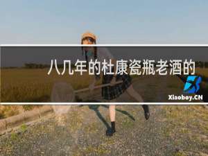 八几年的杜康瓷瓶老酒的价格