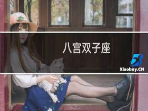 八宫双子座