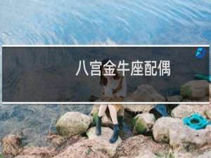 八宫金牛座配偶
