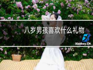 八岁男孩喜欢什么礼物