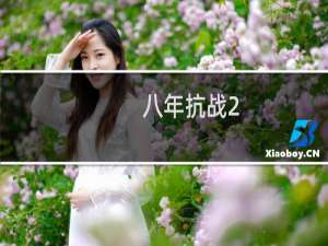 八年抗战2