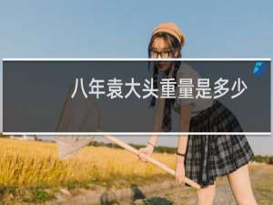 八年袁大头重量是多少