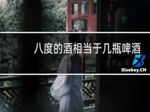 八度的酒相当于几瓶啤酒