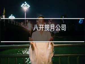 八开揽月公司