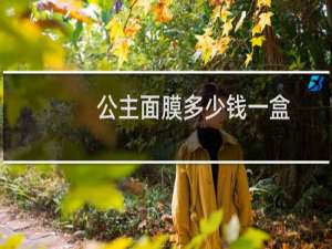 公主面膜多少钱一盒