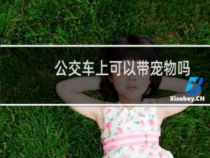 公交车上可以带宠物吗