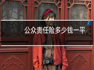 公众责任险多少钱一平