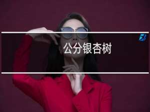 公分银杏树