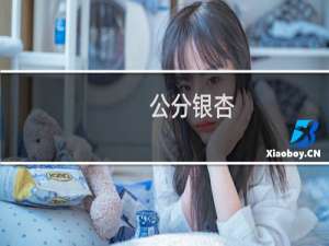 公分银杏