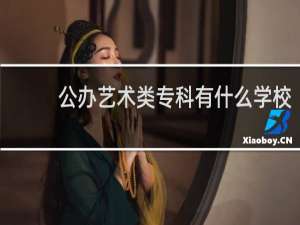 公办艺术类专科有什么学校